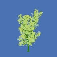 greenshift tree