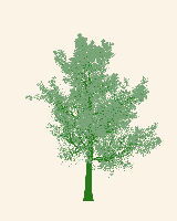 greenshift tree