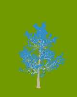 greenshift tree