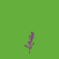 greenshift tree