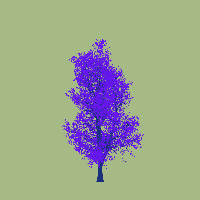 greenshift tree
