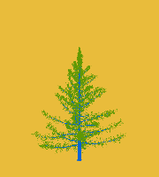 greenshift tree