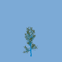 greenshift tree