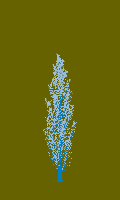 greenshift tree