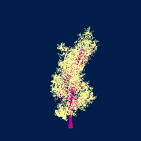 greenshift tree