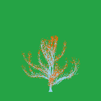 greenshift tree