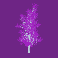 greenshift tree