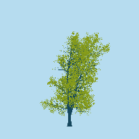 greenshift tree