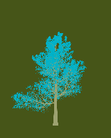 greenshift tree