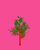 greenshift tree