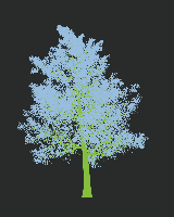 greenshift tree