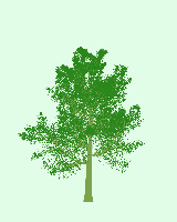 greenshift tree