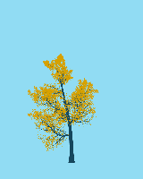 greenshift tree