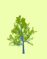 greenshift tree