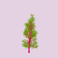 greenshift tree