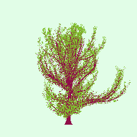 greenshift tree