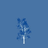 greenshift tree