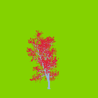 greenshift tree