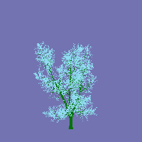 greenshift tree