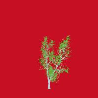 greenshift tree