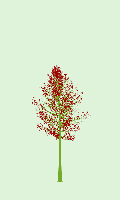 greenshift tree