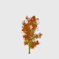 greenshift tree