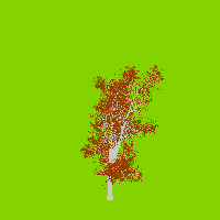 greenshift tree