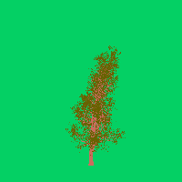 greenshift tree
