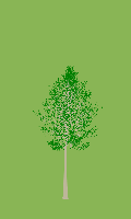 greenshift tree