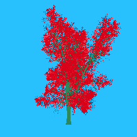 greenshift tree