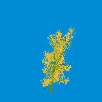 greenshift tree