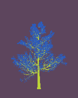 greenshift tree