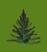 greenshift tree