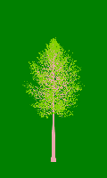 greenshift tree