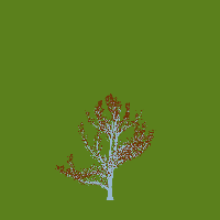 greenshift tree