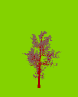 greenshift tree
