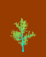 greenshift tree