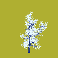 greenshift tree