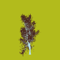 greenshift tree