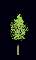 greenshift tree