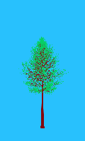 greenshift tree