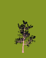 greenshift tree