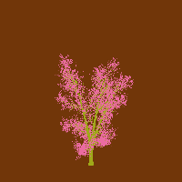 greenshift tree