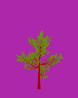 greenshift tree