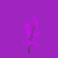 greenshift tree