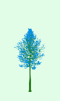 greenshift tree