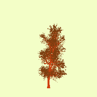 greenshift tree