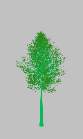 greenshift tree