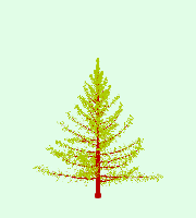 greenshift tree