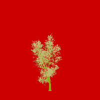 greenshift tree